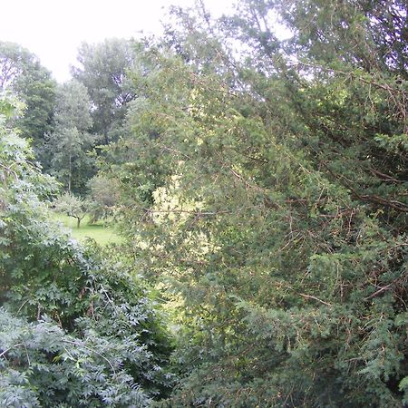 Les Lilas Des Deux Ponts Deux Rivieres Exteriör bild